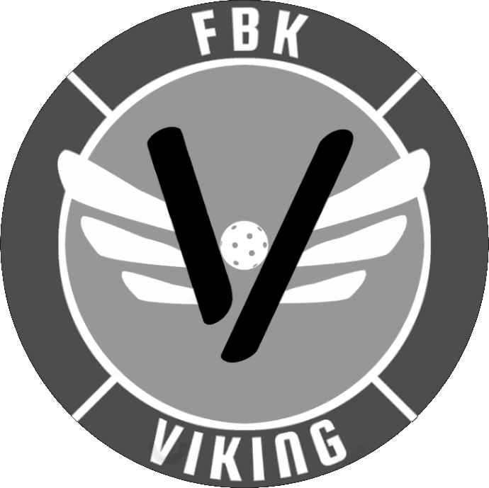 FBK VIKING